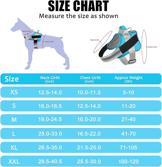 Bolux Dog Harness, No-Pull Reflective Dog Vest, Breathable Adjustable Pet Harness with Handle for Outdoor Walking - No More Pulling, Tugging or Choking (OceanicBlue, Small (Pack of 1))