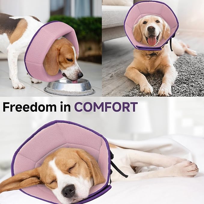 Dog Cone Collar XL, Soft Cones for Large Medium Small Dogs,Adjustable Dog Cone Alternative to Stop Licking, Comfy Elizabethan Collar for After Surgery Wound Healing & Hot Spots Purple