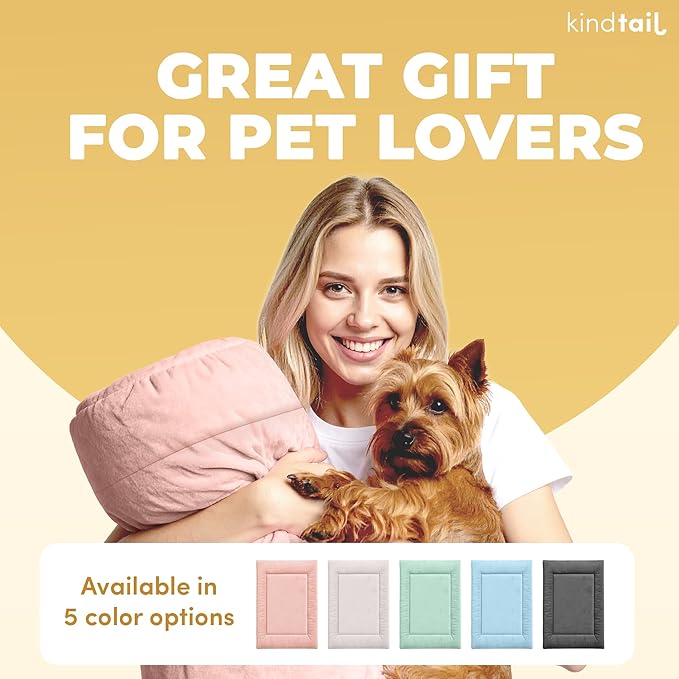 KindTail Dog Crate Pad - Soft Velvet, Reversible Bed - Machine Washable Kennel Mat for Pets up to 25 lbs - Mattress for Cozy Sleeping - 25” x 19” x 1” (Light Blue, Medium)