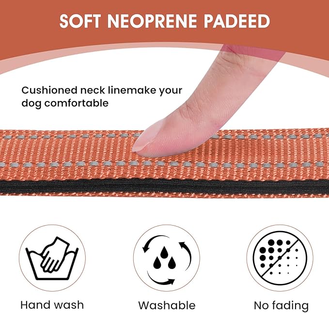 Reflective Dog Collar Padded with Soft Neoprene Breathable Quick Release Basic Dog Collars for Puppy Small Dogs Coral
