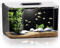 Betta Fish Tank, 2.5 Gallon Aquarium Kit with Filter, Light, Self Cleaning, Oxygenation, Small All in One Starter Fish Tank for Goldfish, Guppy, Shrimp, Desktop, Acrylic