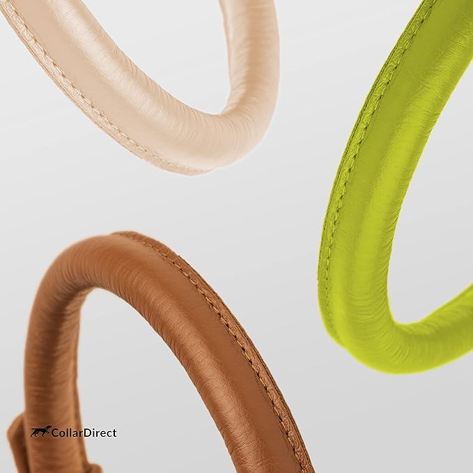 CollarDirect Rolled Leather Dog Collar, Soft Padded Round Puppy Collar, Handmade Genuine Leather Collar Dog Small Large Cat Collars 13 Colors (15-19 Inch, Lime Green Textured)