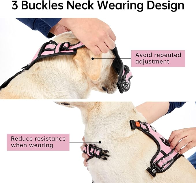 IVY&LANE No Pull Dog Harness for Small Dogs, Dog Vest Harness with Leash, Safety Belt and Storage Strap, Fully Adjustable, 360 Reflective Strip, Soft Handle (Pink, S)