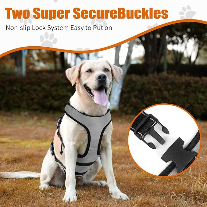 Ayquez Dog Lift Harness with Storage and Transport Bag, Dog Harness with Handle for Lifting & Hip dysplasia, arnés para Perros pequeños, pechera para Perros (Gray, XXL)