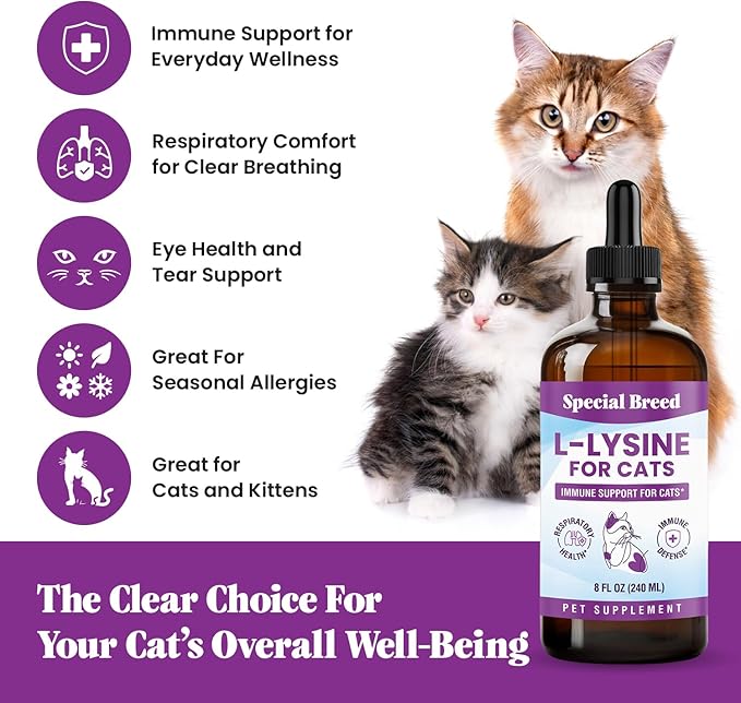 Special Breed L-Lysine for Cats & Kittens – Immune, Respiratory & Eye Health Support – Liquid Cat Supplement with Astragalus, Burdock, Atractylodes, Dangshen & Vitamins A, B1, B2, B6 – 8oz (240mL)