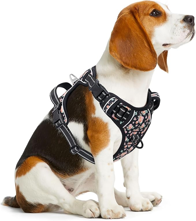 Timos Dog Harness, No-Pull Pet Harness with 2 Leash Clips, 3 Snap Buckles Adjustable Soft Padded Dog Vest, Reflective No-Choke Pet Oxford Vest with Easy Control Handle for Small Medium Large Dogs