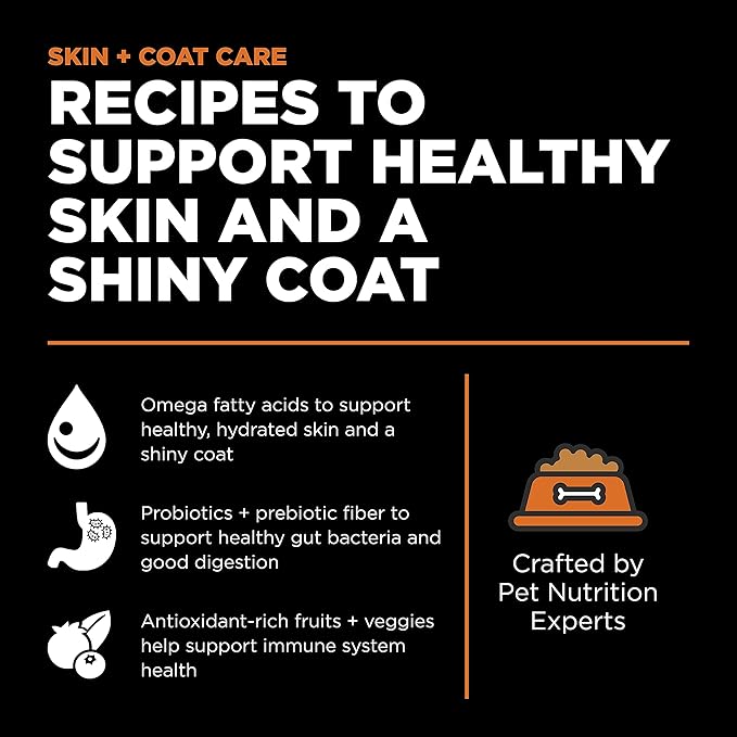 Go! Solutions Skin + Coat Care, Grain-Free Dry Cat Food, Salmon Recipe, 3 lb Bag