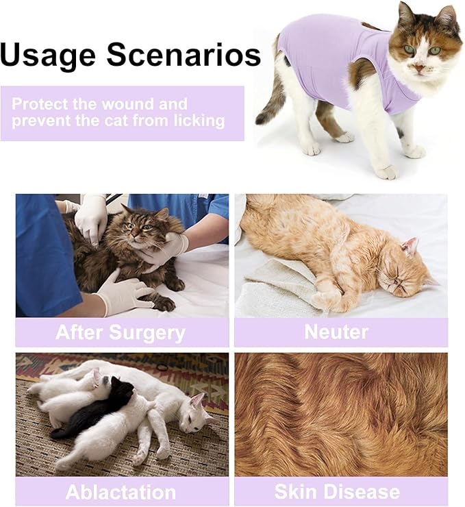 Cat Recovery Suit, Surgical Recovery Clothes for Abdominal Wound or Skin Disease, Cats Onesie After Surgery and Spay, E-Collar Alternative Pajama Suit (Purple, Medium)