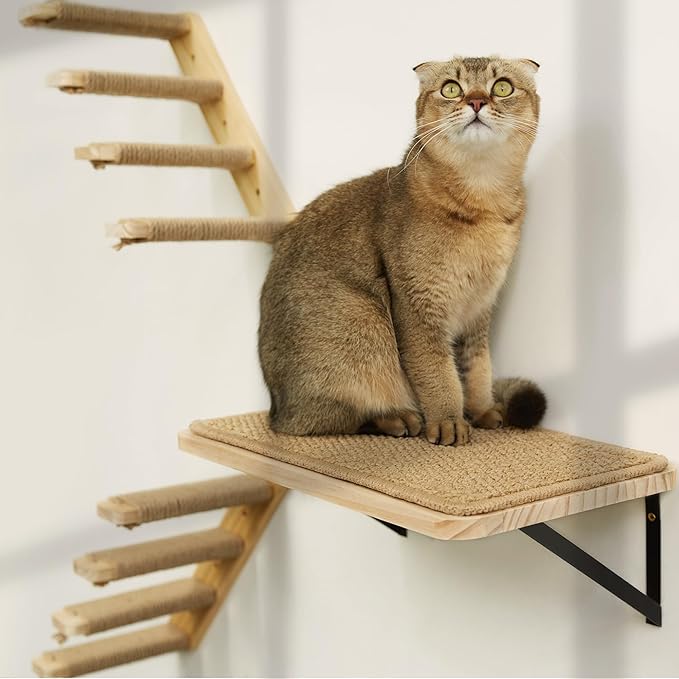 Cat Floating Wall Shelf with Scratching Mat, 1PC 9.7X16.6 Inch Large 1 Inch Thick Wood Cat Window Perches Hanging Shelves Wall Mounted Beds for Sleeping, Playing, Climbing, Support to 30 LBS
