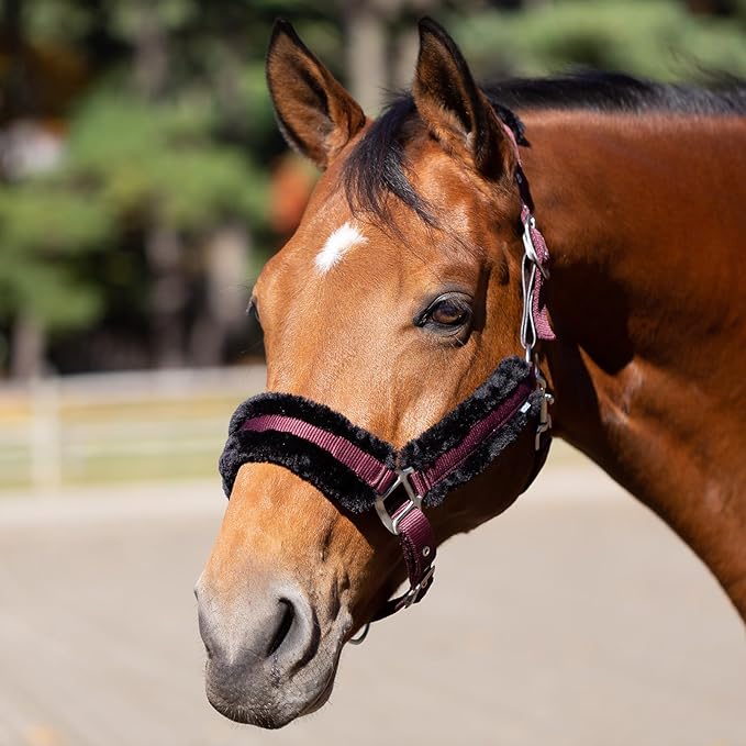 Equinavia Valkyrie Soft Ultra Fleece Padded Adjustable Breakaway Horse Halter - Wine Red/Black - Cob