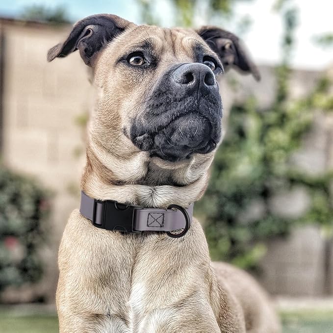 Dogline Biothane Waterproof Dog Collar with Quick Release Buckle Strong Coated Nylon Webbing with Odor- Proof for Easy Care Easy to Clean Fits Small Medium Large Dogs, Grey 5/8" W 9-14" L
