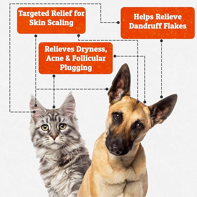 Truseb | Benzoyl Peroxide 3% Shampoo for Dogs,Cats and Horses (3% Benzoyl Peroxide Shampoo, 12 oz)