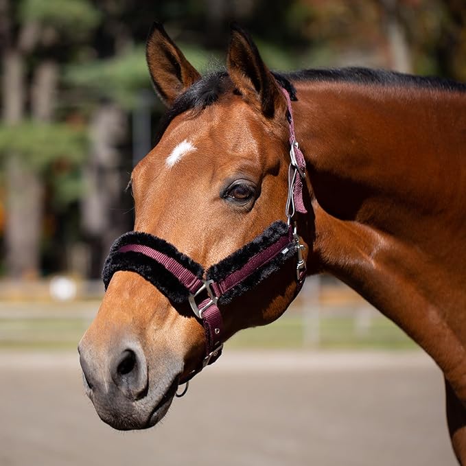 Equinavia Valkyrie Soft Ultra Fleece Padded Adjustable Breakaway Horse Halter - Wine Red/Black - Cob