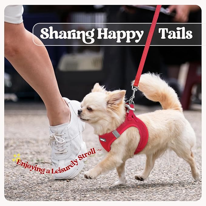rabbitgoo Dog Harness Small Medium Sized and Leash Set, Step in Soft Light Puppy Vest, Breathable Mesh Pet Harness, Reflective for Safe Easy Walking, Red L