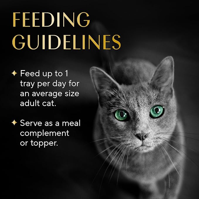 Sheba Selections Filets in Broth Adult Wet Cat Meal Complement Chicken Recipe, 1.3 oz. Cups, 12 Count