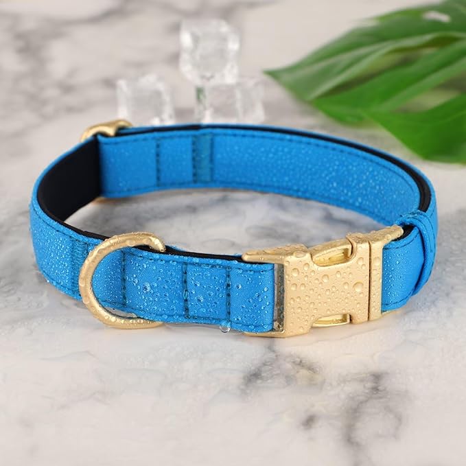 Didog Soft Padded Dog Collars for Small Dogs, Colorful and Durable Dog Collar with Quick Release Buckle, Light and Breathable for Daily Walking, Blue, S