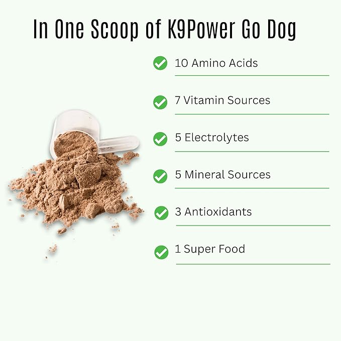 K9 Power Go Dog Hydration & Performance Drink Mix 1 lb - Active Dog Supplement for Muscle Function, Endurance, Recovery, with Electrolytes Support - Pack of 2