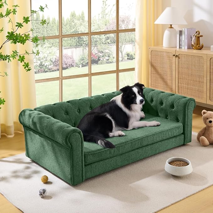 Dog Sofa Couch for Medium to Large Dogs, 55" Memory Foam Pet Sofa Couch with Washable Fabric, Durable Elevated Dog Bed with Legs, Removable Cushion for Medium and Large Dogs, Green