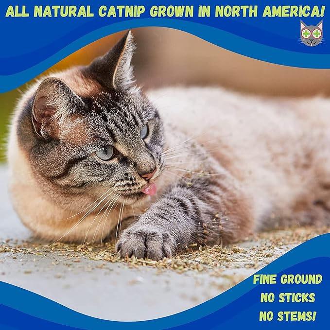 Smokey's Stash Catnip Stalkless Dried Ground Premium Bulk 6 Ounce Bag Strong Cat nip for Cats…