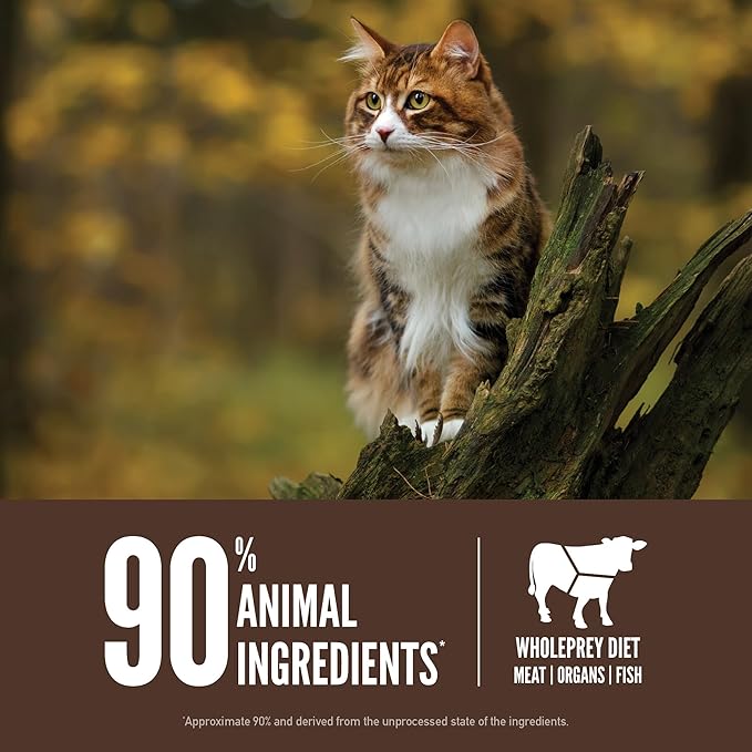 ORIJEN Grain Free High Protein Premium Dry Cat Food Regional Red Recipe 4lb Bag