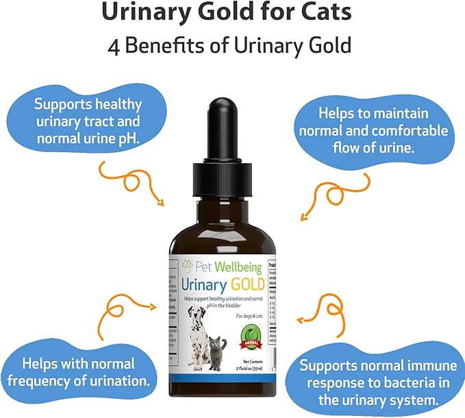 Pet Wellbeing Urinary Gold for Cats - Supports Urinary Tract Health, Normal Frequency, Healthy Immune Response, Stoneroot, Hydrangea - Veterinarian-Formulated Herbal Supplement 2 oz (59 ml)