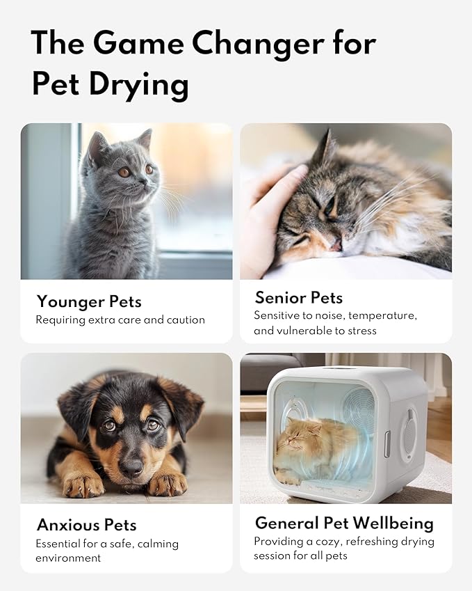 HomeRunPet Cat Dryer, 360° Efficient Automatic and Quiet Box with Smart Temperature Control, Ideal for Small Dogs (50L Drybo Plus Pet Dryer Box)
