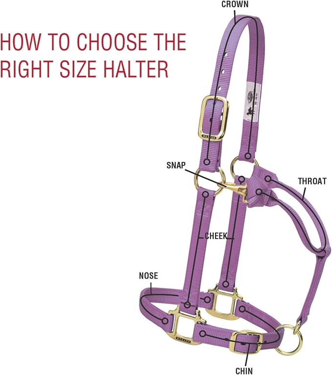 Weaver Equine Nylon Horse Halter, Triple-Ply Cheek Design, Original Non Adjustable Halters for Horses, Equine Tack,Average Size, Black