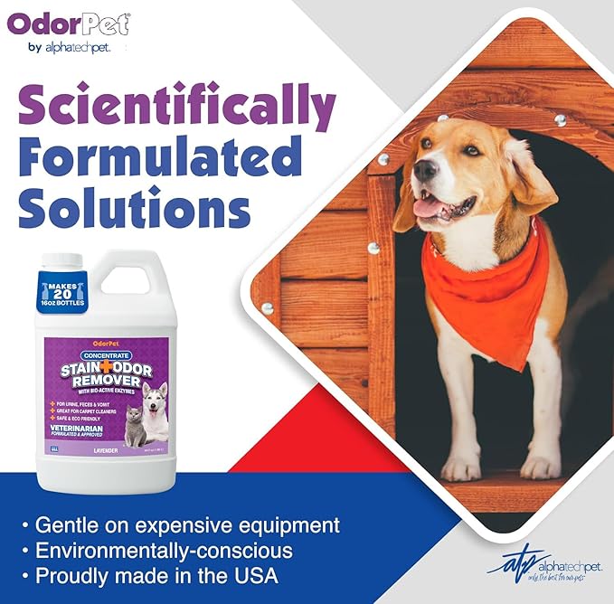 OdorPet Pet Stain Remover and Odor Eliminator - 64 Oz (Makes 2.55 Gallons of Working Solution) Non Staining, Professional Strength, Lavender Scent by Alpha Tech Pet