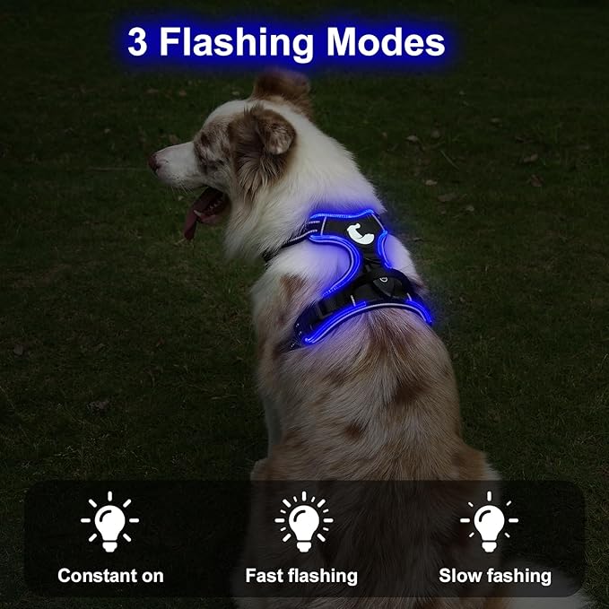 Taglory Light Up Dog Harness, Rechargeable No Pull Dog Vest with 3 Lightning Modes, Reflective Dog Harness with 2 Leash Clips & 4 Adjustable Slide Strips for Small Dogs, Black-Blue, S