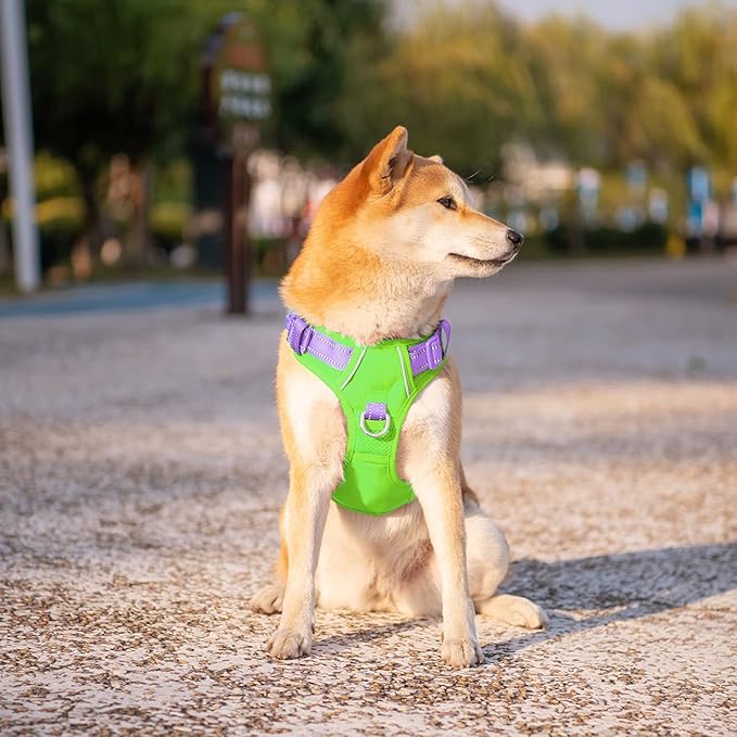 PHOEPET No Pull Dog Harness, Unique Colors Reflective Adjustable Dog Vest, with Soft Training Handle Metal Clips for Small Medium Large Dogs (Green Base & Purple Straps,L)