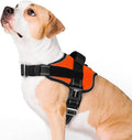 rabbitgoo Dog Harness for Large, Easy On Pet Vest with One Buckle, No Pull Adjustable Service Harness with D-Ring & Handle, Reflective for Safety Walking, Training, Orange, L