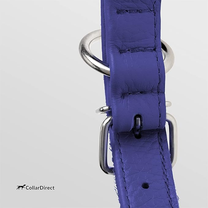 CollarDirect Rolled Leather Dog Collar, Soft Padded Round Puppy Collar, Handmade Genuine Leather Collar Dog Small Large Cat Collars 13 Colors (13-16 Inch, Purple Textured)