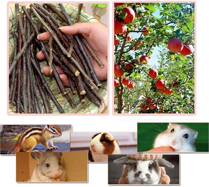 500g Apple Sticks Small Animals Molar Wood Toys for Rabbits Chinchillas Guinea Pig Hamster Gerbil Bunny and Small Animal Chew Stick Toys