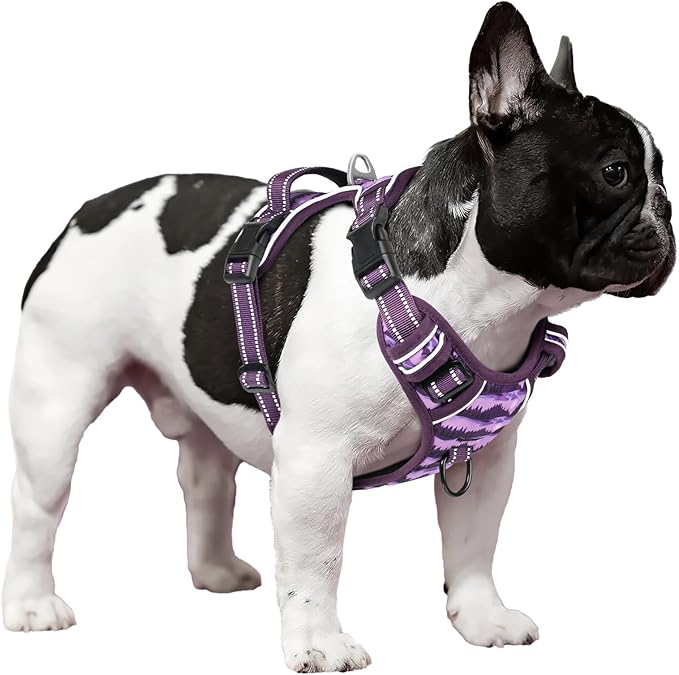 Timos Dog Harness,No-Pull Pet Harness Adjustable Soft Padded Dog Vest,Reflective No-Choke Pet Oxford Vest with Easy Control Handle for Small Dogs,Moon Night,S
