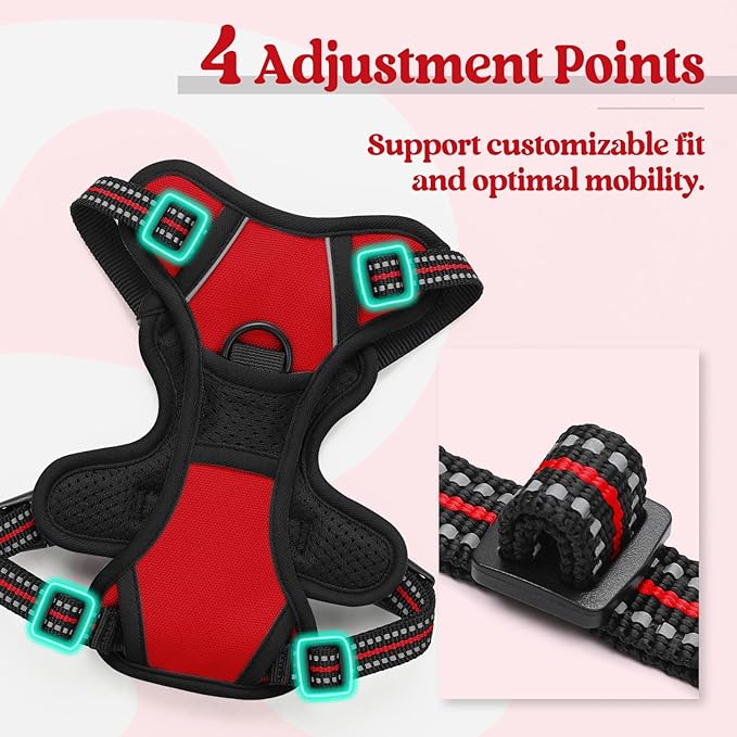 rabbitgoo Dog Harness No Pull with 2 Leash Clips, Adjustable Soft Padded, Reflective Oxford No Choke Pet Vest with Easy Control Handle for Puppy, Red,XS