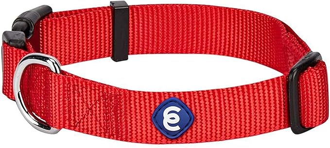 Blueberry Pet Essentials Medium Dog Collar in Rouge Red | Adjustable & Eco-Friendly Durable Nylon Strap | Classic Collar for Medium Dogs, Boy & Girl Pets