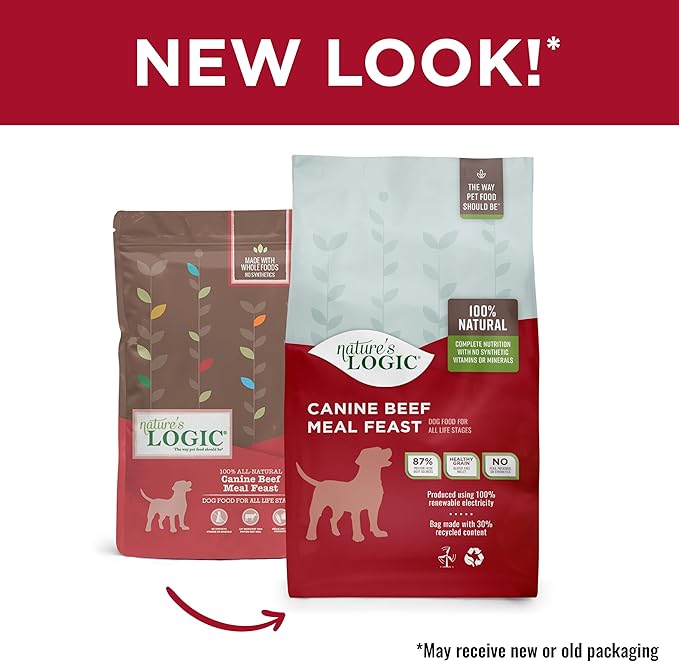 NATURE'S LOGIC Dry Dog Food - 100% Natural - No Synthetics - for All Ages, Sizes, Breeds - Free from Common Allergens, High Protein - Beef Meal Feast, 13lbs