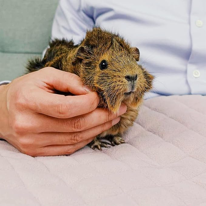 GuineaDad Premium Liner – Fleece Guinea Pig Cage Liner – 5 Pack - Ultra-Plush Reusable Fleece Bedding with Waterproof Bottom – Extra Absorbent Liner for C&C 1x1 Cage (Blush)