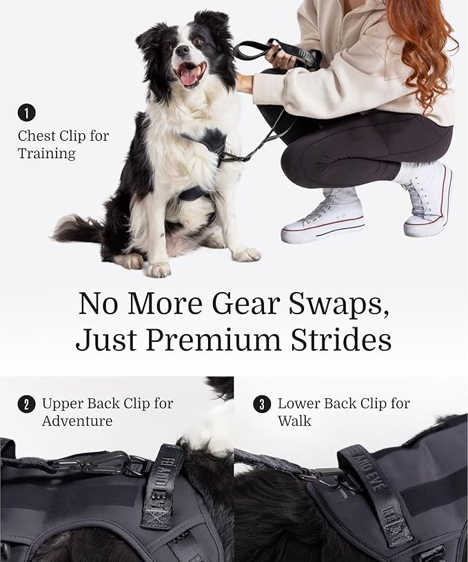 2025 New Edition, Fei & Eve MagEase Dog Harness - 3-Second Magnetic Buckles | 3-Point No-Pull Control | Heavy-Duty 900D Nylon | Dual Safety Handles | Breathable Mesh | Adjustable Fit | Small, Black