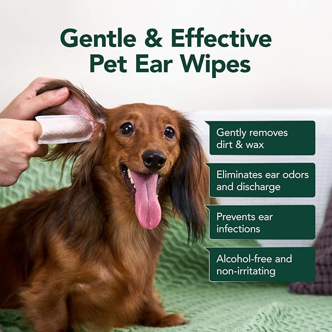 Dog Ear Cleaner Wipes - Dog Ear Infection Treatment Fast Relief from Ear Itching and Inflammation, Cat Ear Wipes Gently Remove Ear Wax Debris and Smelly (50 Pcs, Lavender)