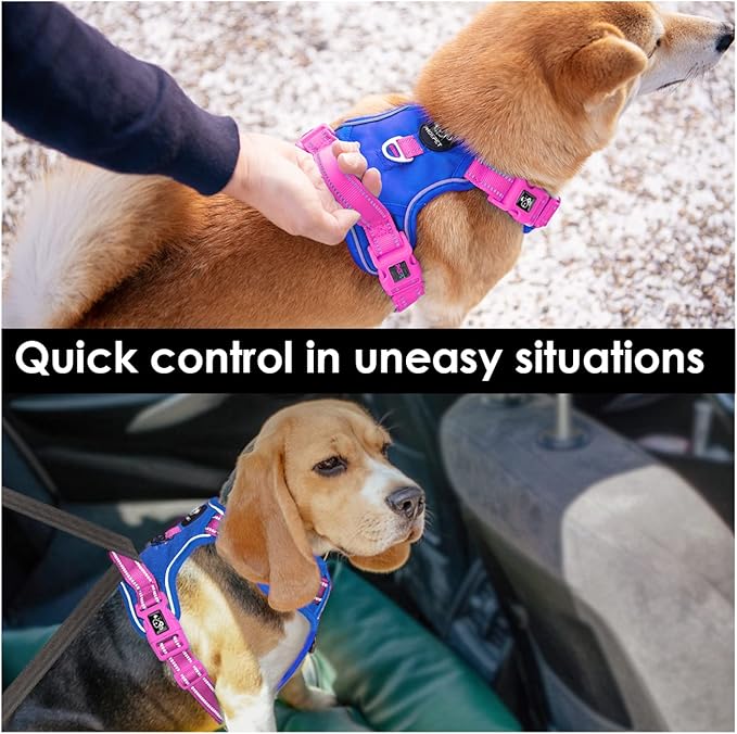 PHOEPET No Pull Dog Harness, Unique Colors Reflective Adjustable Dog Vest, with Soft Training Handle Metal Clips for Small Medium Large Dogs (Royal Blue Base & Pink Straps,S)