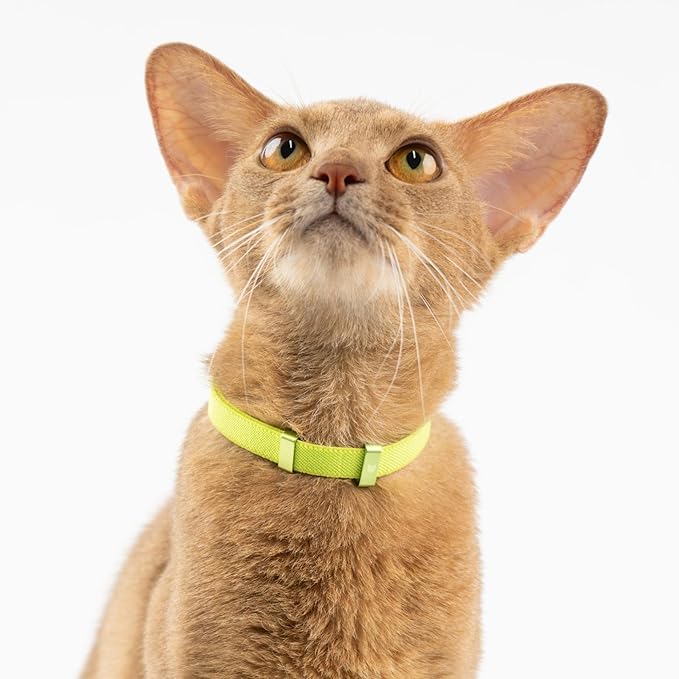 Safety Cat Collar - U.S. IDA Gold Awarding Design, Elastic Quick Release, Non Breakaway - Lightweight for Kitten, Neck Fit 7.8'-15.7' for All Small Large Cat,M(Midnight Black)