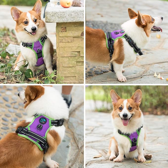 PHOEPET 2019 Upgraded No Pull Dog Harness, Reflective Adjustable Vest, with a Training Handle + 2 Metal Leash Hooks+ 3 Snap Buckles +4 Slide Buckles(S, Purple)