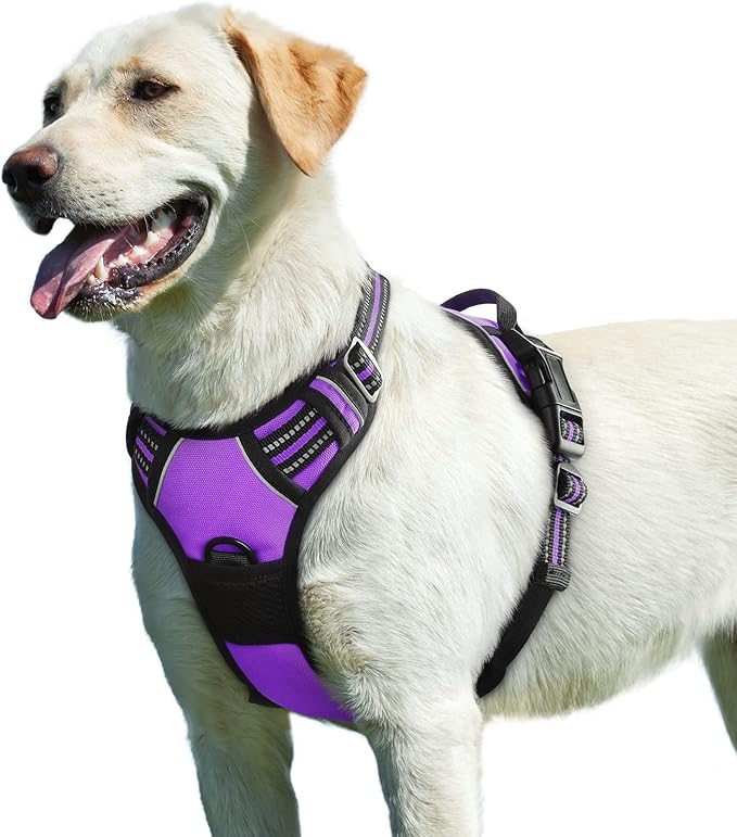 Eagloo Dog Harness for Large Dogs, No Pull Service Vest with Reflective Strips and Control Handle, Adjustable and Comfortable for Easy Walking, No Choke Pet Harness with 2 Metal Rings, Purple, L