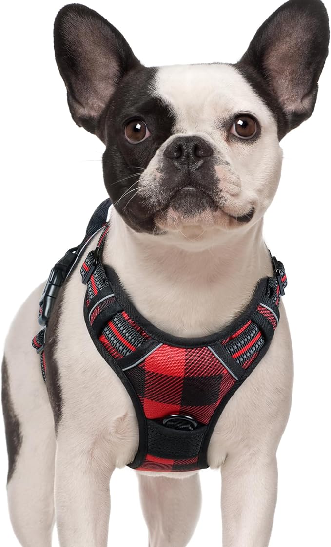 rabbitgoo Dog Harness No Pull with 2 Leash Clips, Adjustable Soft Padded, Reflective Oxford No Choke Pet Vest with Easy Control Handle for Small Dogs, Red Plaid, S