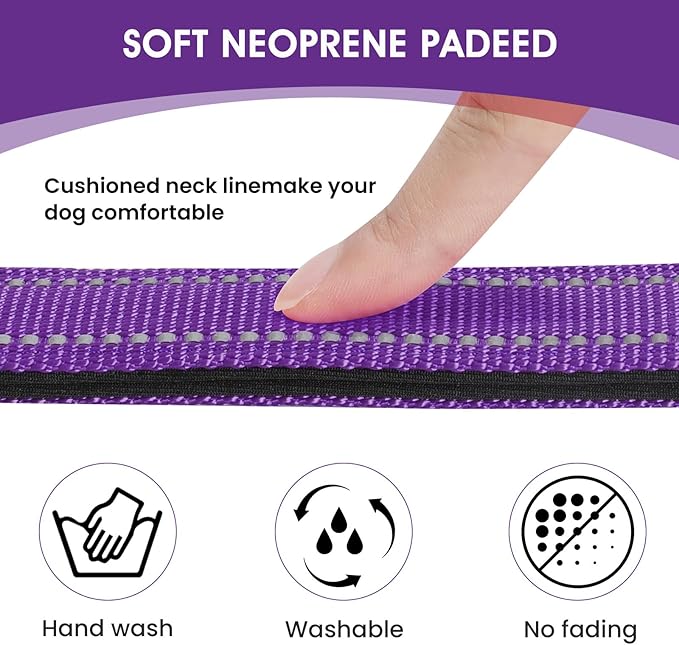 Reflective Dog Collar Padded with Soft Neoprene Breathable Quick Release Basic Dog Collars for Puppy Small Dogs Girl Purple