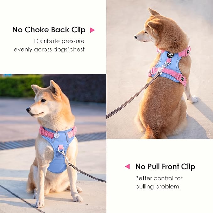 PHOEPET No Pull Dog Harness, Unique Colors Reflective Adjustable Dog Vest, with Soft Training Handle Metal Clips for Small Medium Large Dogs (Baby Blue Base & Pink Straps,M)