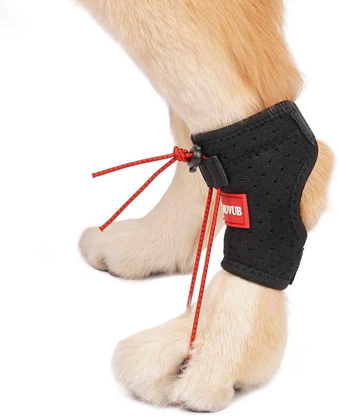 Dog Canine Knuckling Brace Front Paw Rear Leg Dog Foot Brace Wrap for Toe Dragging Cause by Sciatic Nerve Insufficiency, Myelopathy, Herniated Disc (Small,Pair Pack)