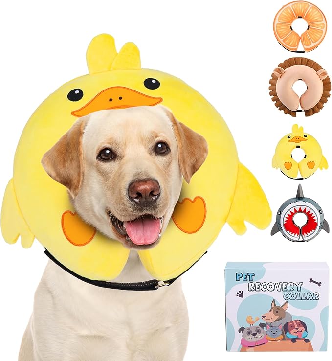 KOOLTAIL Inflatable Dog Cone Collar, Soft Dog Cone Alternative for Large Medium Small Dogs After Surgery, Cute Costume Adjustable Donut Neck Cone for Dogs Cats, Comfortable Recovery E Collar, Duck L