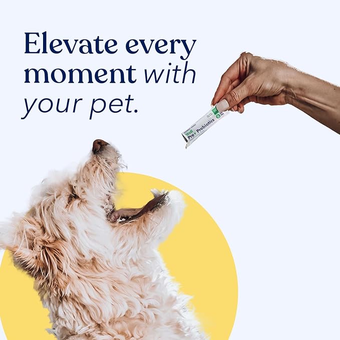 Honest Paws Probiotics for Dogs - Digestive & Immune Support Powder with Prebiotic Made in The USA, Chicken Flavor (30 Sticks)